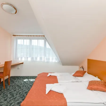 Hotel Slavia 3*